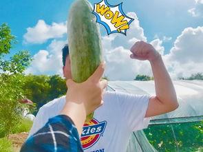 857爆料吃瓜网红,吃瓜爆料背后的真相与争议 第1张 857爆料吃瓜网红,吃瓜爆料背后的真相与争议 第1张